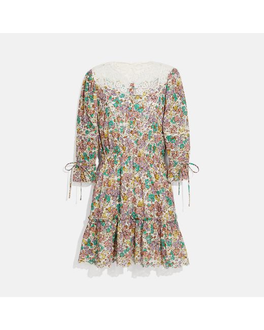 COACH Cotton Printed Mini Tiered Dress 