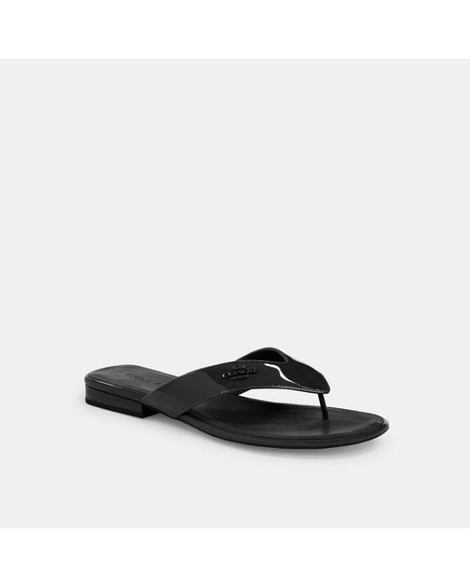 COACH Black Bridgette Sandal
