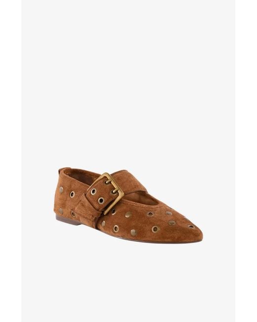 Seychelles Brown Abbey Flat