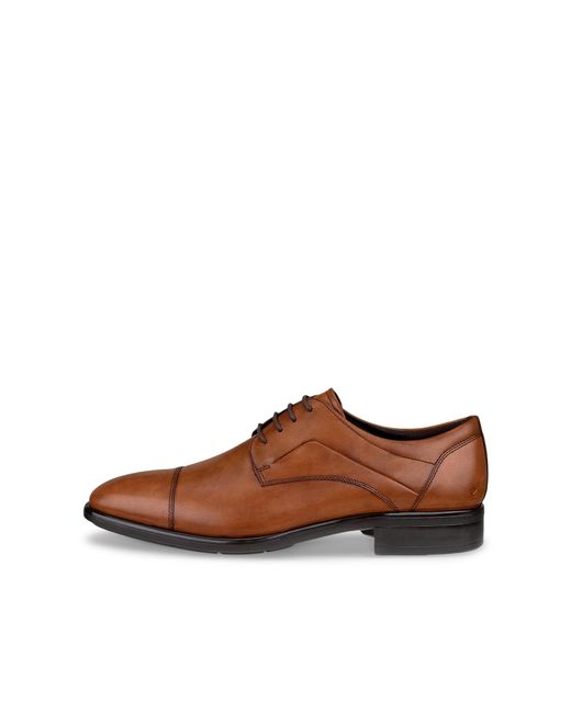 Ecco Brown Men's Citytray Shoe for men