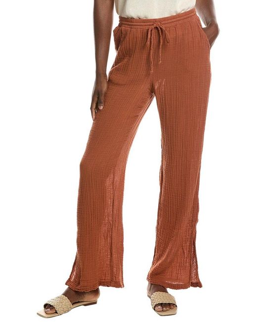 Michael Stars Brown Jovi Pant