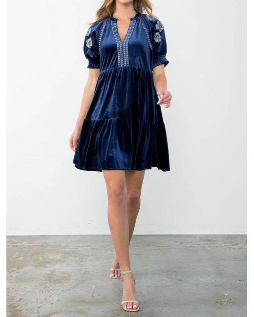 Thml Blue Embroidered Detail Sleeve Velvet Dress