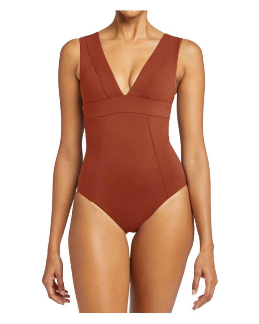 Vitamin A Brown Aria Deep V Neck Swimsuit Bodysuit