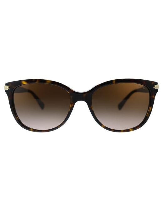 coach 8132 sunglasses