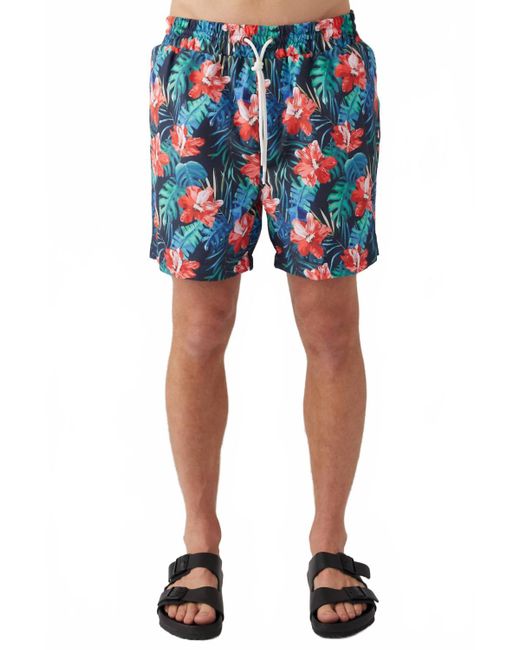 Sol Angeles Blue Hibiscus Floral Swim Short for men