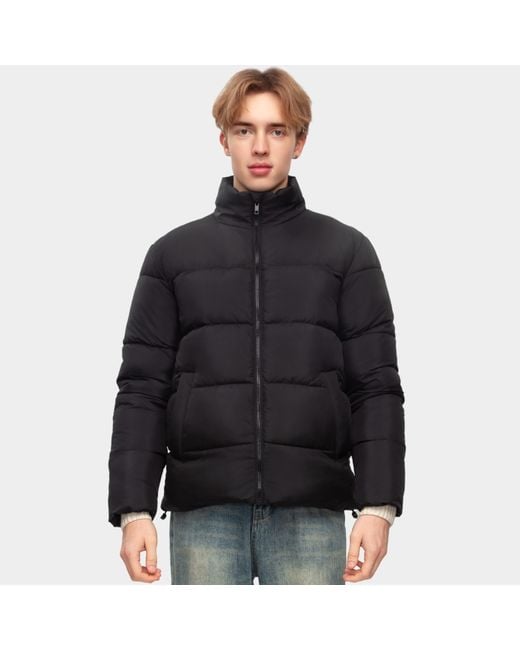 Rokka&Rolla Black Solid Puffer Coat Stand Up Collar Jacket for men