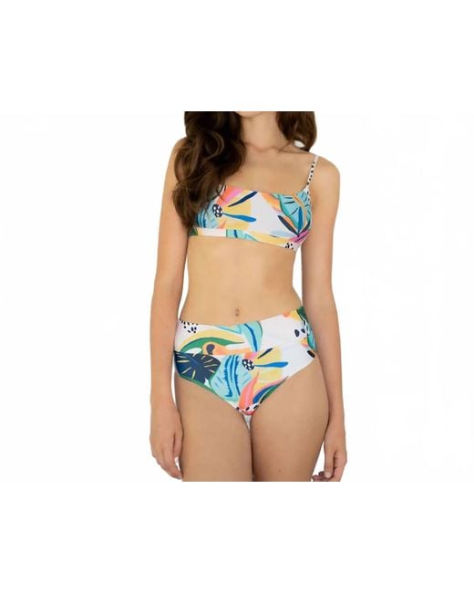 Vanhope Black Cara Bikini Top