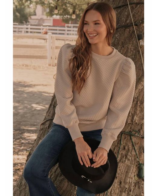 Jodifil Brown Puff Shoulder Top