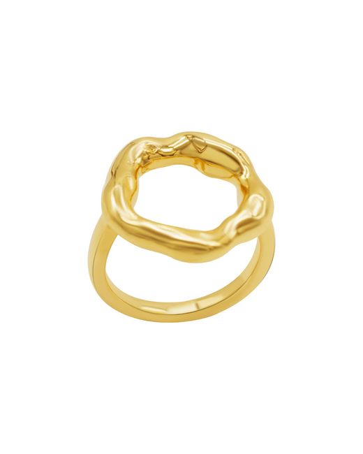 Adornia Metallic Tarnish Resistant 14k Plated Open Circle Hammered Ring