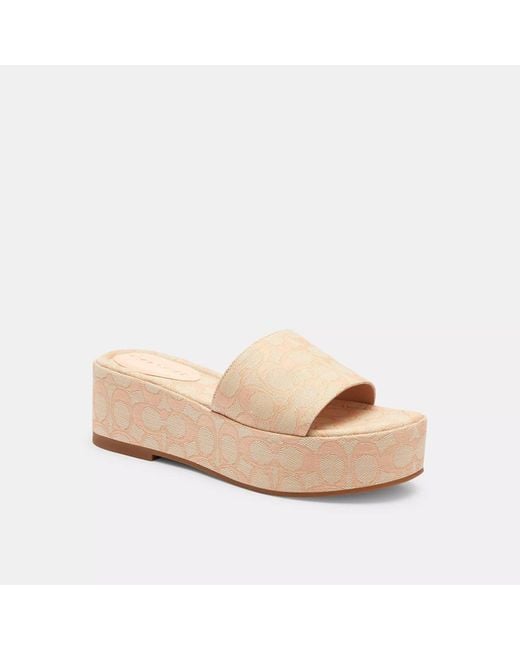 COACH コーチ Eloise Sandal サンダル チョーク COACH Eloise Sandal in Natural | Lyst