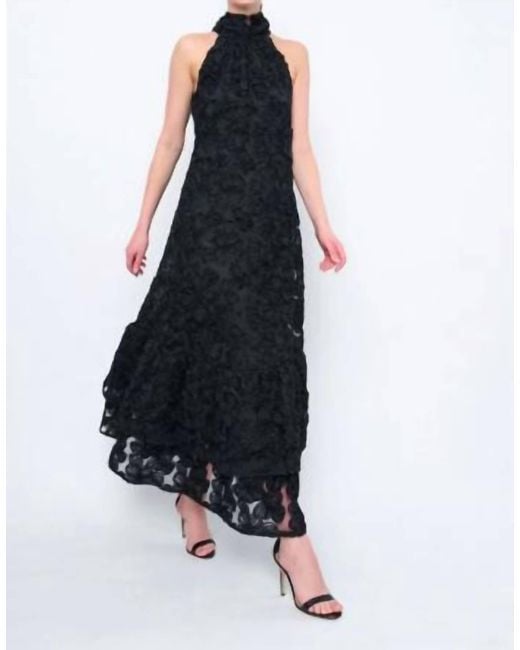 Flora Bea Women's Black Amadeus Dress