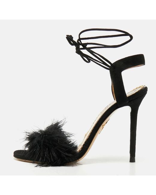 Charlotte Olympia Black Salsa