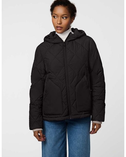 Bernardo Black Harbor Quilted Puffer Jacket