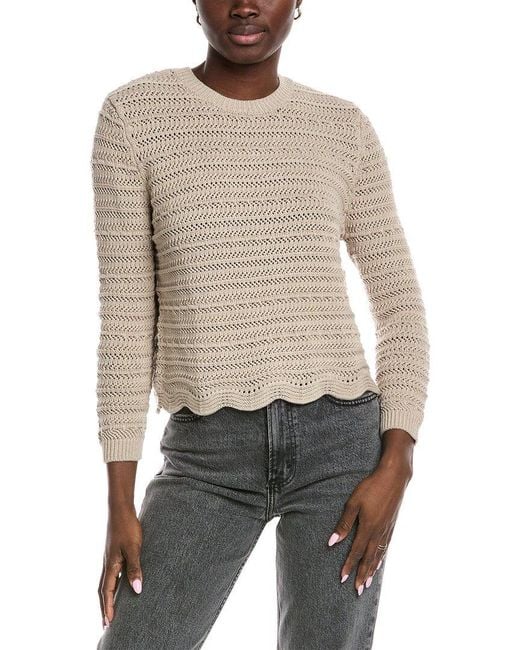 Autumn Cashmere Gray Cotton By Scallop Edge Sweater