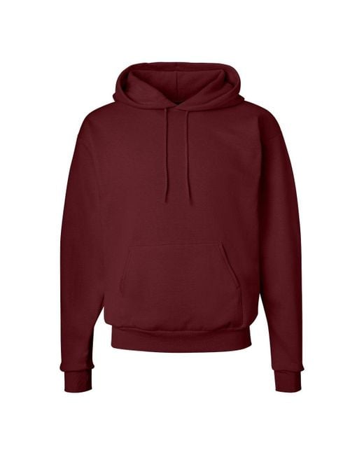 Hanes Red Ecosmart Hooded Sweatshirt for men