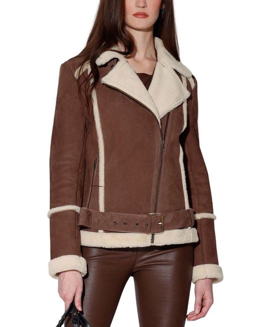 Walter Baker Brown Jessica Suede Jacket