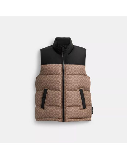 COACH Brown Recycled Polyester Down Puffer Vest for men
