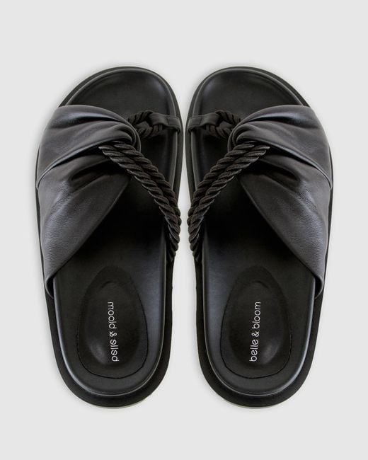 Belle & Bloom Black Whitehaven Slide
