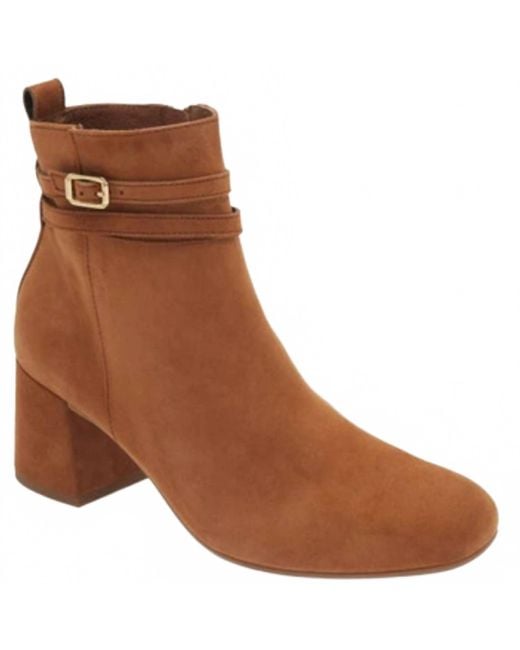 Paul Green Brown Sydney Buckle Bootie