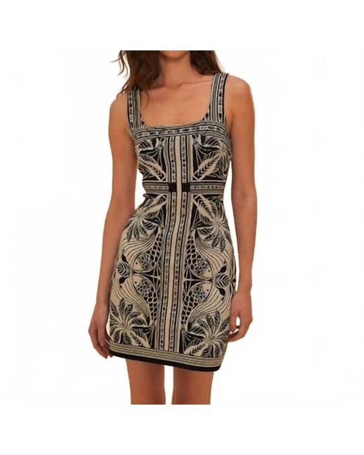 FARM Rio Women's Green Monochrome Elegance Scarf Knit Mini Dress -  www.rajagirimanappuram.com