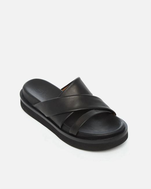 Coclico Black Olsen Sandal