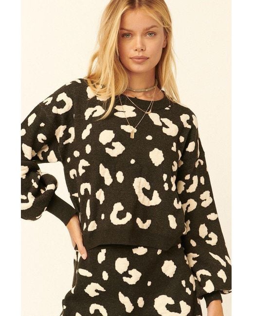 TRUEDAMES Black A Leopard Print Pullover Sweater