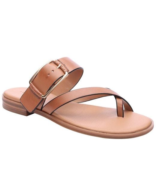 Sanctuary Pink Spring Flip Flop