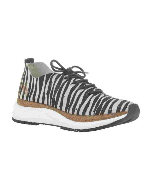 Otbt Gray Alstead Zebra Print Sneaker