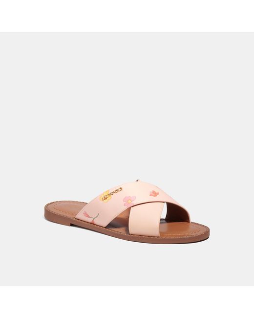 coach outlet sandals