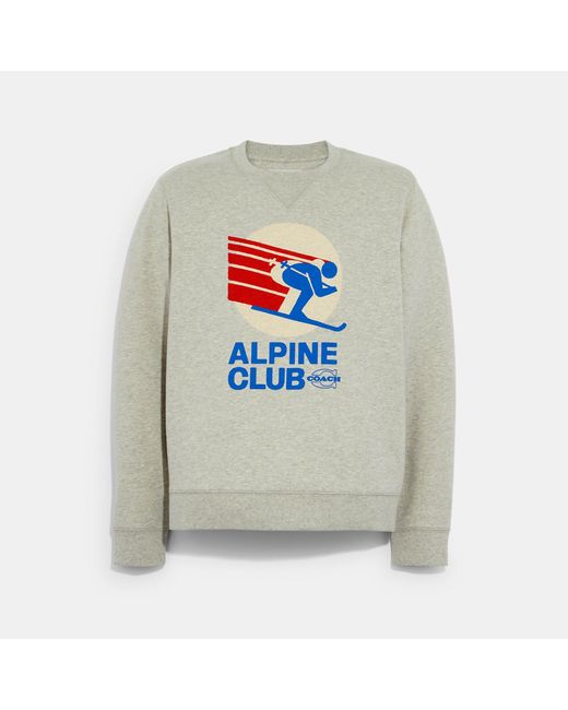 dark grey coach purse