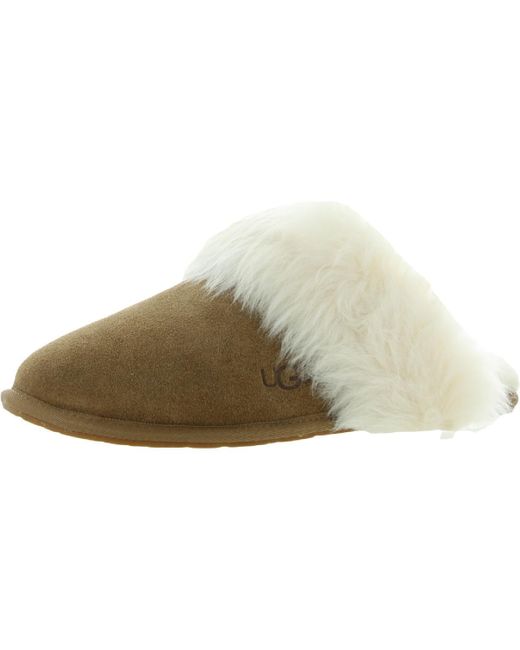 Ugg Green Scuff Sis Sheepskin Slip On Scuff Slippers