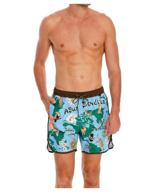 Agua Bendita Blue Liam Java Trunk