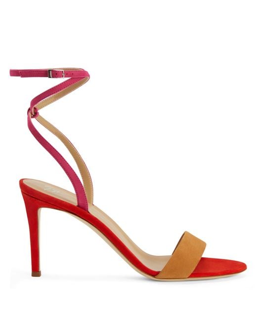 Giuseppe Zanotti Red Erwan