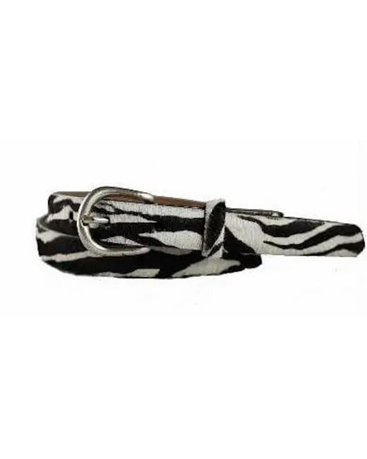 W. Kleinberg Black Zebra Pony Skinny Belt