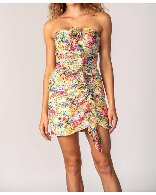 Lavender Brown Multicolor Liana Dress
