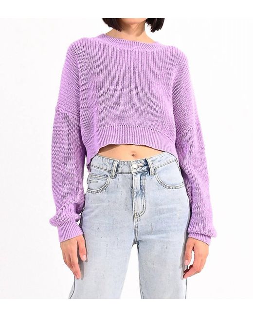 Molly Bracken Purple Knit Sweater