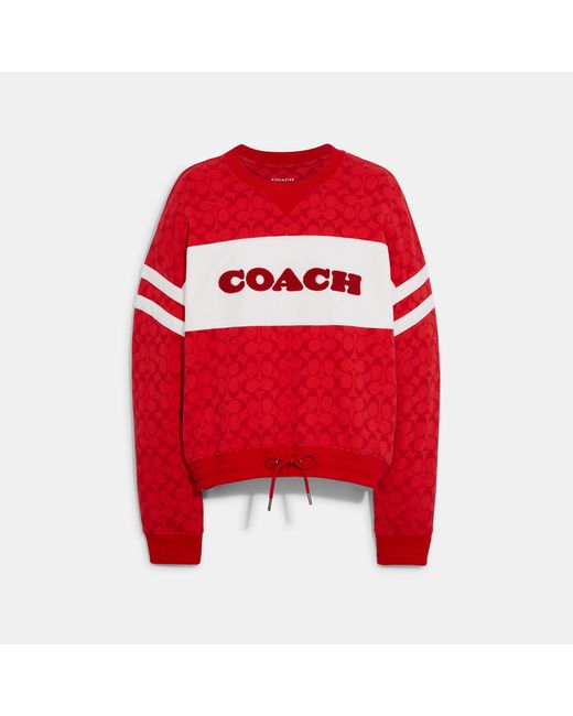 Coach hotsell sweater women's