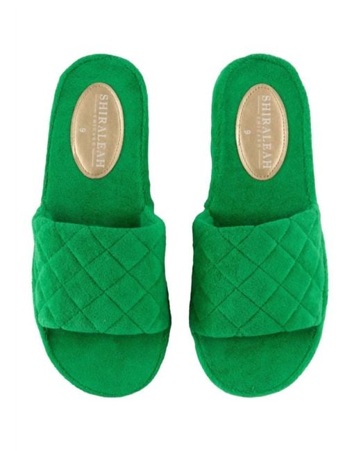 Shiraleah Green Sol Pool Slides