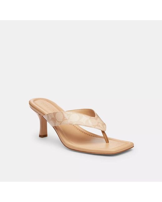 COACH Pink Kitten Heel