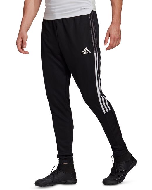 Adidas Black Striped Recycled Polyester Track Pants for men
