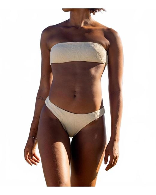 IMS Brown Stella Bottom