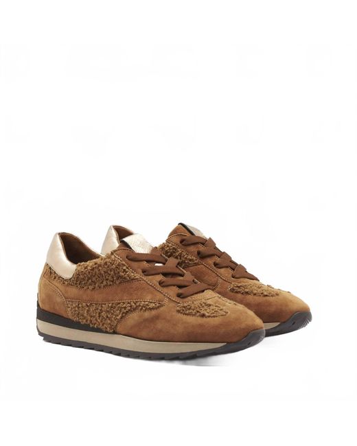 Softwaves Brown Donna Shoe
