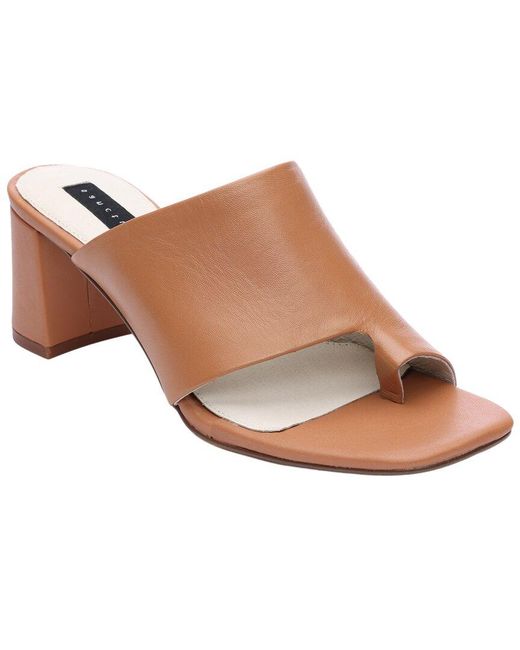 Sanctuary Brown Brisk Sandal
