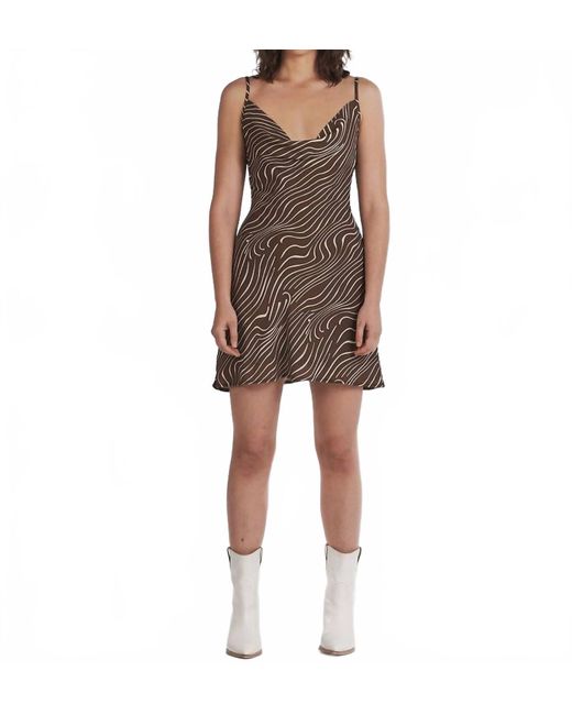 Charlie Holiday Brown Lola Zebra Dress -Petite