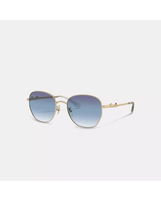 COACH Blue Coach Script Round Sunglasses