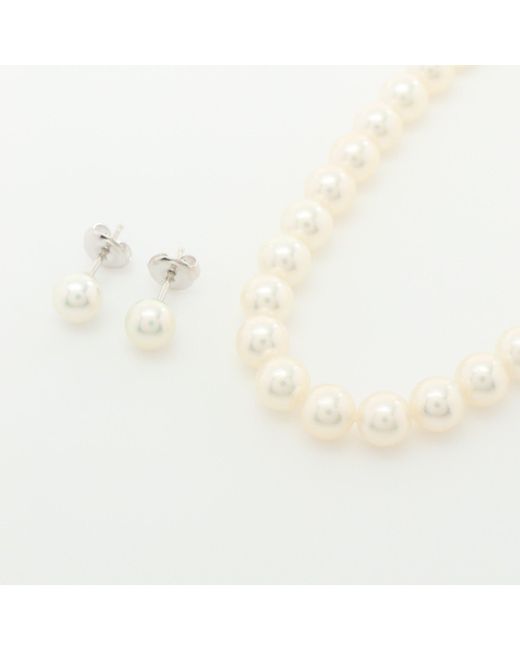 Mikimoto Akoya Pearl Earrings Necklace Pearl 6.0-6.5mm K18wg Silver White White Gold Silver M Charm 2 Piece Set