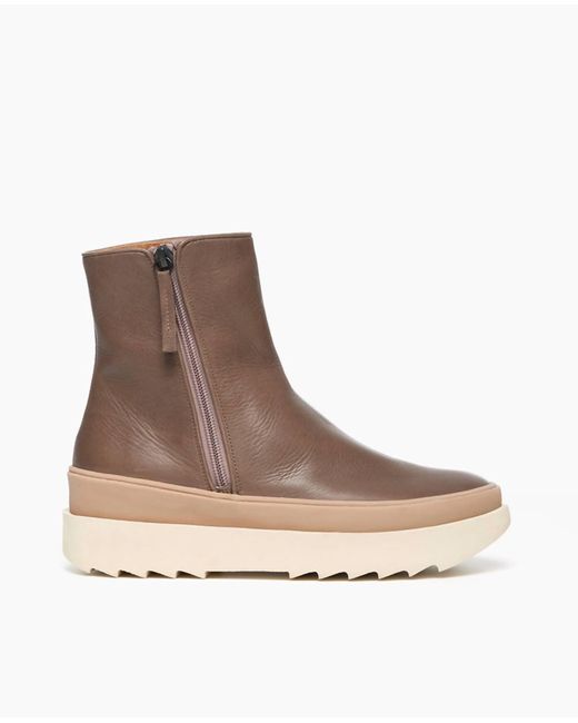 Coclico Brown Freddy Sherling Bootie