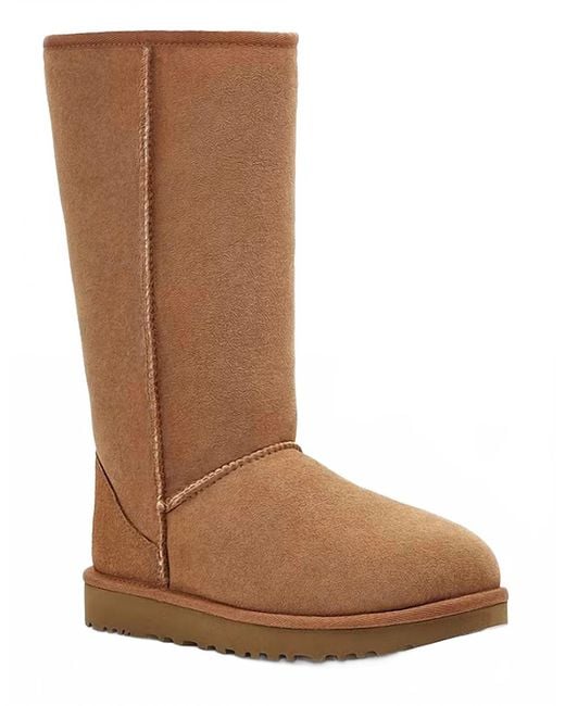 Ugg Brown Classic Tall Ii Boot
