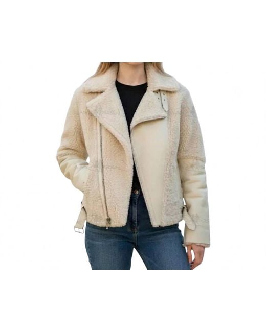 Lusso Beni Blue Flex Coat