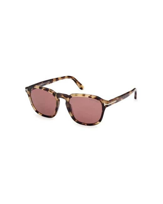 Tom Ford Brown Avery Sunglasses